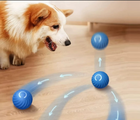 Pelota Inteligente para Mascotas
